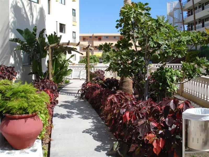 Apartamento Los Ficus Playa Del Inlges 플라야 델 잉글스 외부 사진